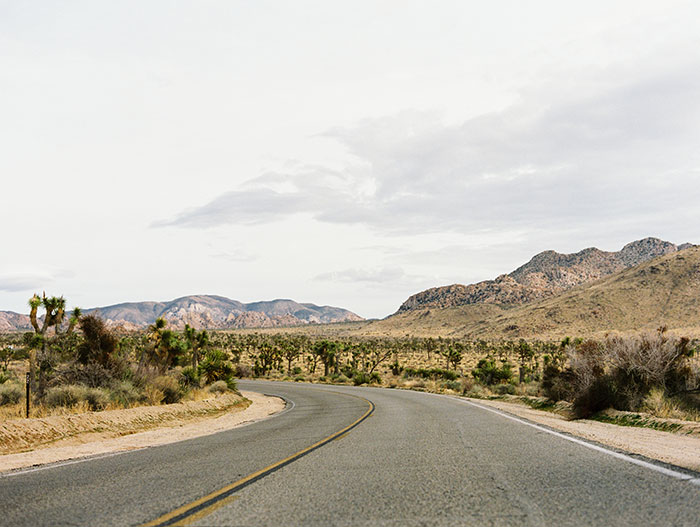 Joshua Tree wedding photographer