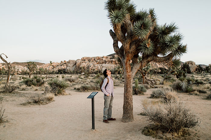 Joshua Tree wedding photographer