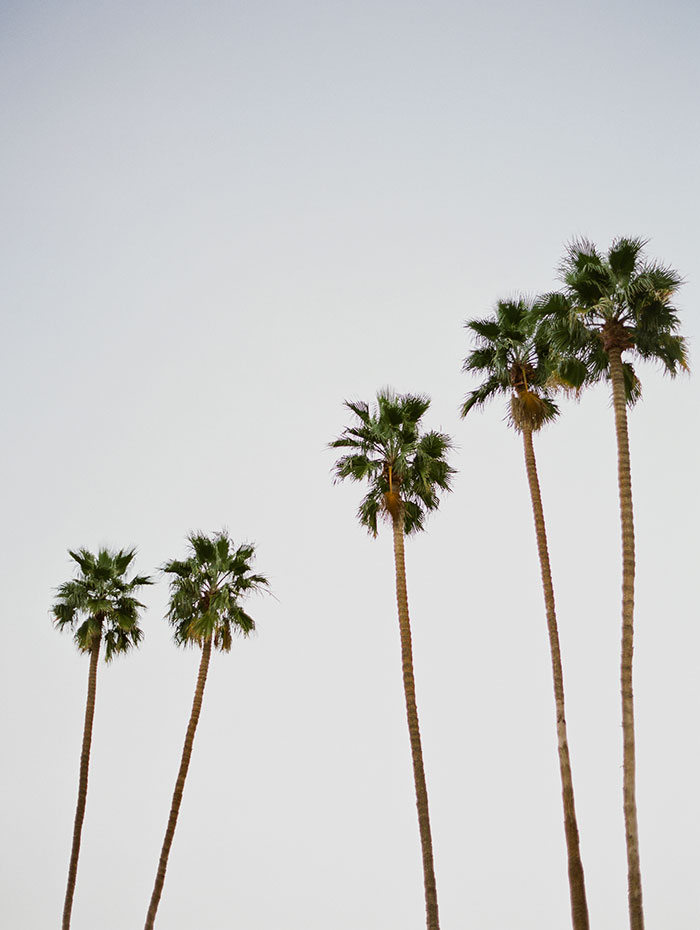 Joshua Tree wedding photographer